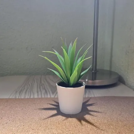 Isabel Accommodatie bij particulieren *